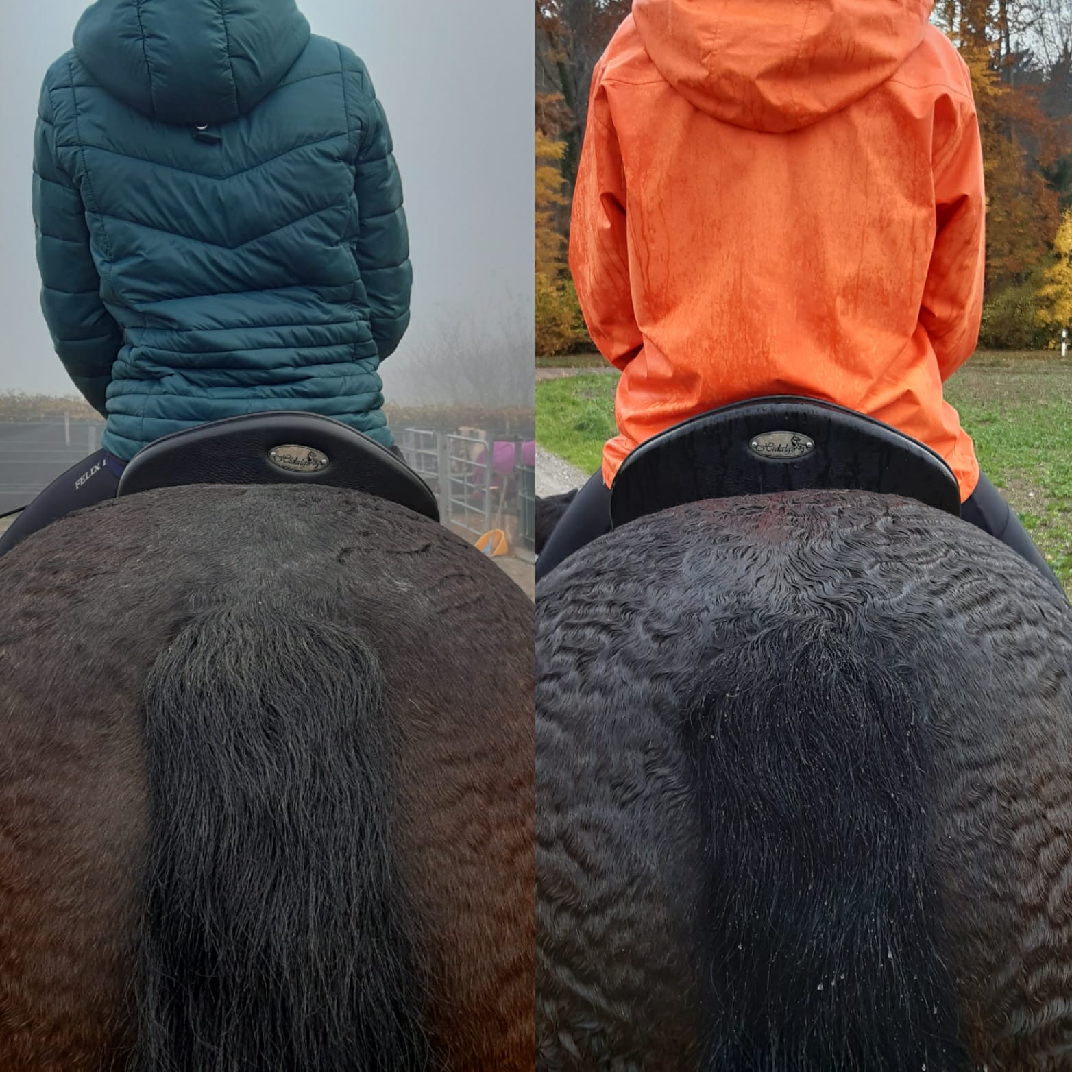 Links vorher - rechts nach der Behandlung